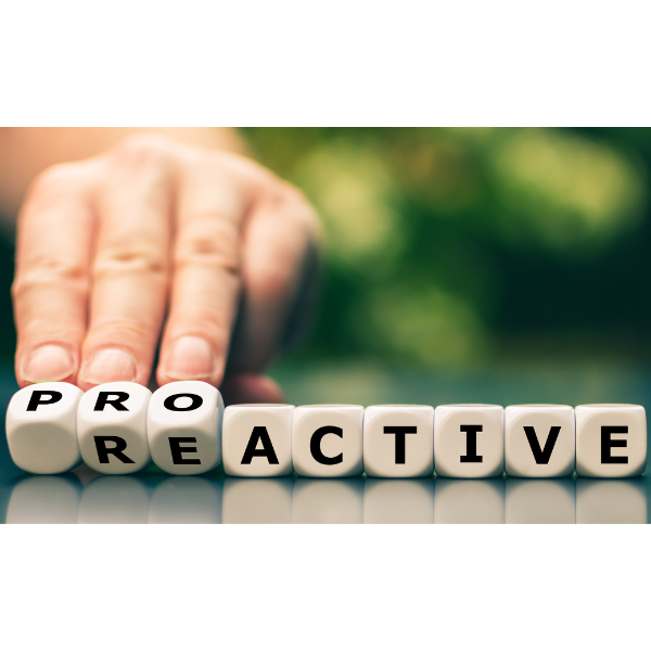 Melonbox Training & Consultancy - the word proactive spelt out in dice.
